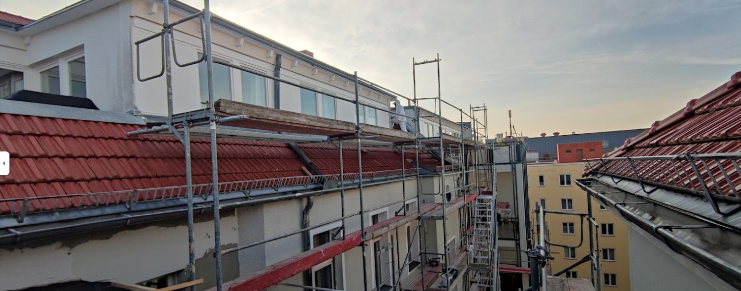 Schimmelbeseitigung & Sanierung – Keller in Tempelhof